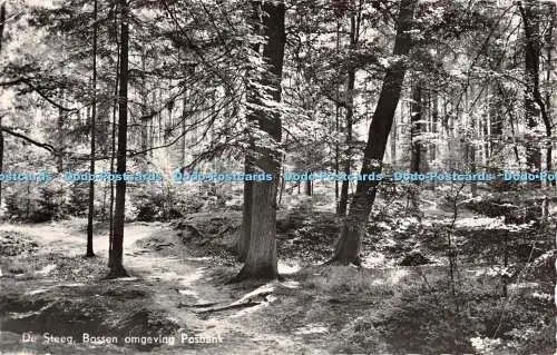 R376864 De Steeg Bossen omgeving Posbank D Berger Jospe 1957