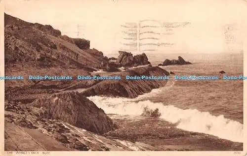 R380152 Bude Die Wale Rücken Postkarte 1947