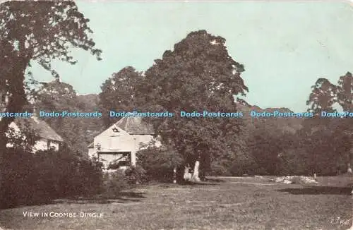 R380169 Ansicht in Coombe Dingle E T W D Dainty Serie 1906