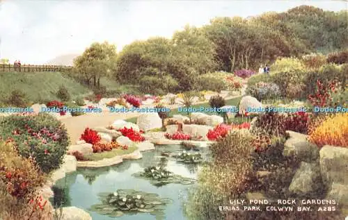 R375771 Lily Pond Rock Gardens Eirias Park Colwyn Bay A285 Kunstfarbe Brian Gera