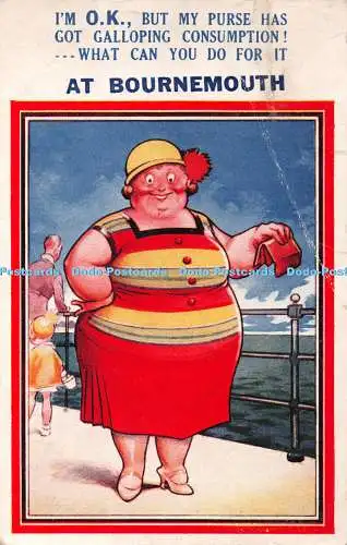 R378925 Im O K But My Purse Has Seaside Comic Series No 3195 Bamforth and Co 193