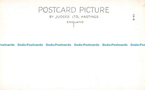 R380410 Leder Valley von Ponty Pant Judges 10329