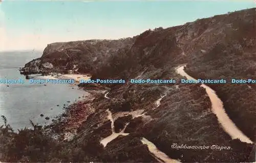 R377586 Babbacombe Slopes F Tucker Postkarte 1916
