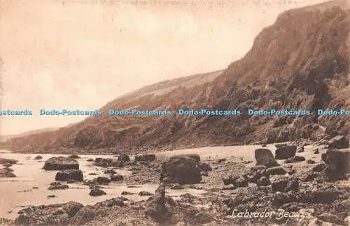 R382603 Labrador Beach Friths Serie Nr 58132