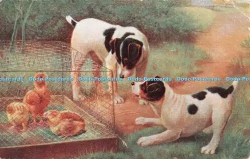 R380993 Dogs A Vivian Mansell Fine Art Publishers 1920 Nr 1128