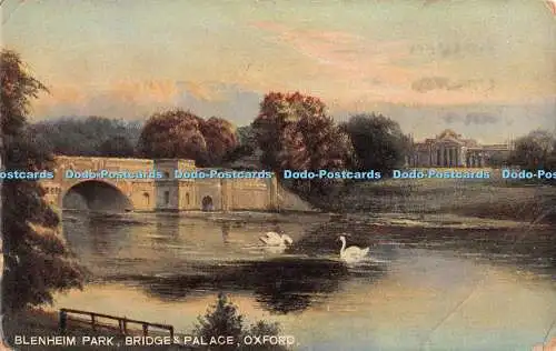 R382820 Blenheim Park Bridge and Palace Oxford Langsdorff 1911 Zeus Jupiter