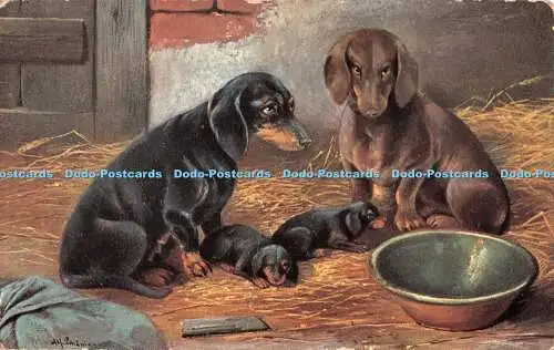 R381253 Hunde und Welpen The Milton Kennel Serie Nr. 574 Woolstone Bros Nr. 2835