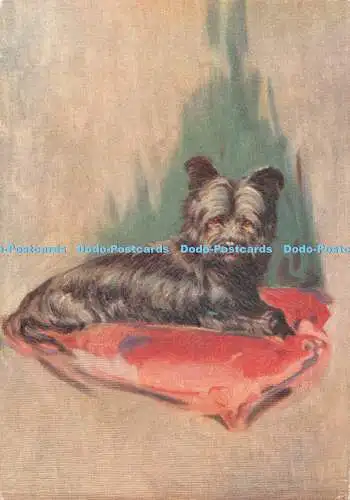 R383154 The Skye Terrier Dog No 26 aus einer Serie von 30 Karten De Reszke Zigaretten