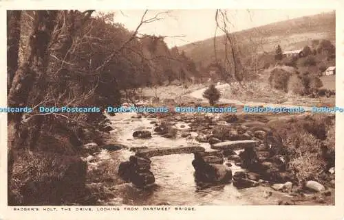 R381538 Dachs holt das Laufwerk mit Blick von der Dartmeet Bridge The Proprietor Badger