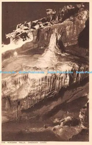 R383574 Cheddar Caves The Niagara Falls A G H Gough Manager The Caves Cheddar