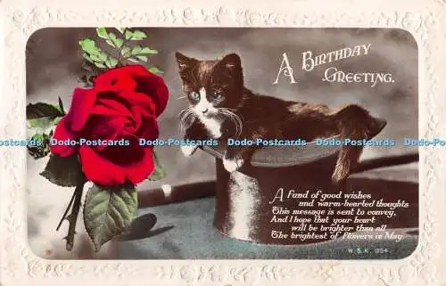 R381947 A Birthday Greetings Cat and Red Rose The W and K RP