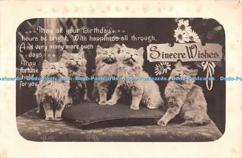 R381948 Aufrichtige Wünsche fünf Katzen Dies ist echte handkolorierte Karte 1935