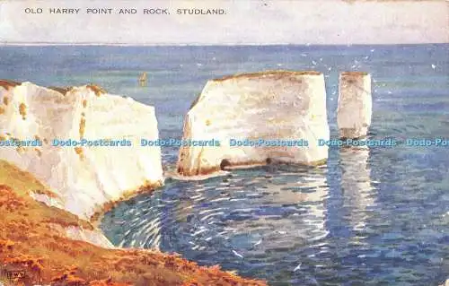 R381958 Studland Old Harry Point and Rock Valentine Art Farbe E W H