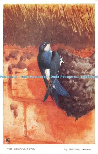 R383849 The House Martin Valentine Winifred Austen Bird Serie