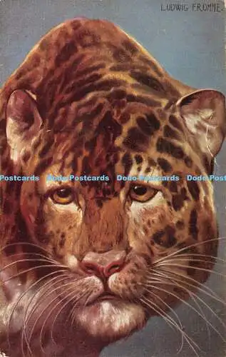 R383941 Leopard Peluba 240 Postkarte