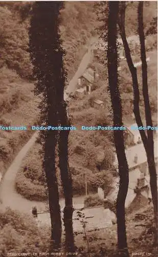 R384256 Clovelly von Hobby Drive Judges 7520