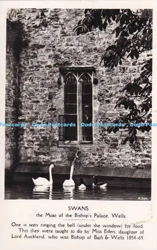 R385227 Schwäne der Graben des Bischofspalastes Wells G 351 Harvey Barton and Sons