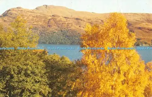 R385833 Dunbartonshire Loch Lomond und Ben Lomond von Inverbeg A Dixon Lotus Pr