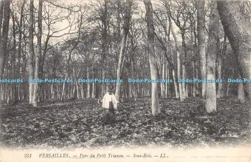 R385912 Versailles Parc Du Petit Trianon Sous Bois LL 351 1912