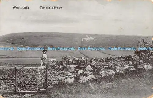 R388843 Weymouth The White Horse Dog Edward Weymouth 1914
