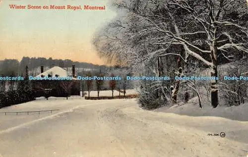 R388580 Winterszene auf Mount Royal Memorial 106324 Valentine