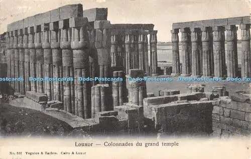 R389367 Louxor Colonnades du grand temple No 557 Vegnios and Zachos 1906