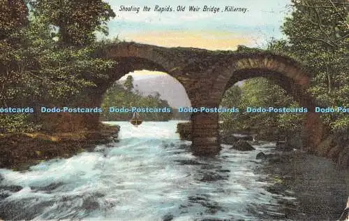 R393650 Shooting the Rapids Old Weir Bridge Killarney 1907 L Anthony Verlag K