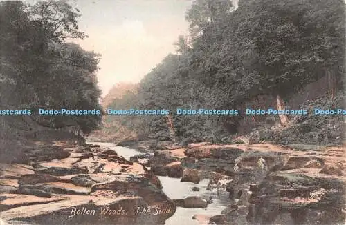 R391888 Bolton Woods The Strid Friths Serie 1904