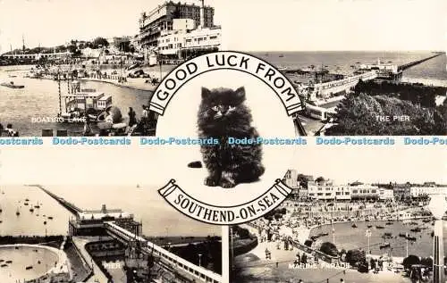 R393939 Good Luck from Southend on Sea Valentines RP Cat Multi View