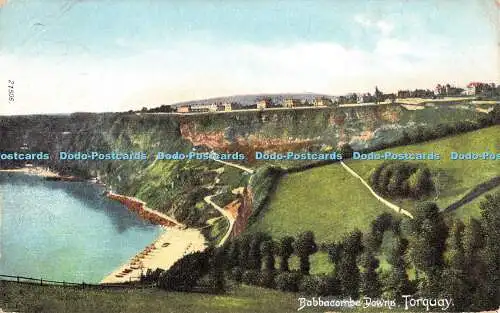 R393950 21506 Babbacombe Downs Torquay Friths Serie 1908