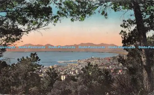 R390066 638 Cannes Vue prise a travers les pins Frank