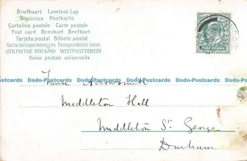 R390209 Unbekannter Ort Gemälde Wasserfall Landschaft Postkarte 1904