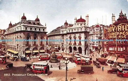 R390224 8812 Piccadilly Circus London Salmon