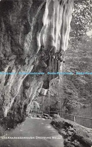R394184 1497 Knaresborough Fallbrunnen photochrom