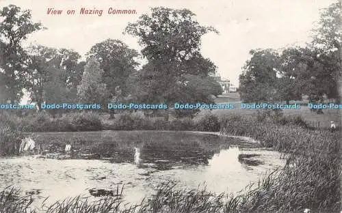 R392240 Blick auf Nazing Common Charles Martin 1908