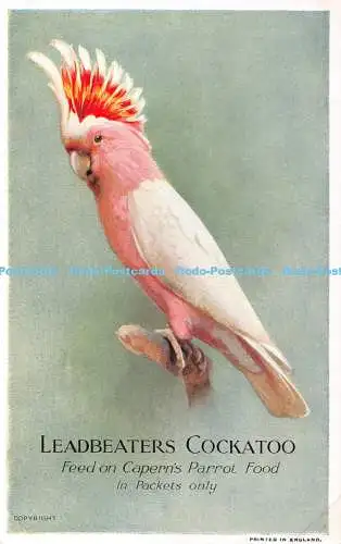 R394331 Bleischläger Kakadu Futter auf Kapern Papageienfutter nur in Päckchen