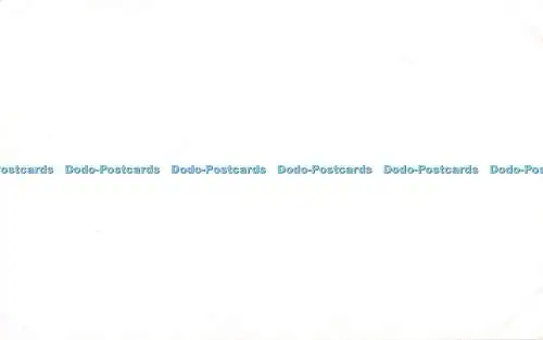 R394331 Bleischläger Kakadu Futter auf Kapern Papageienfutter nur in Päckchen