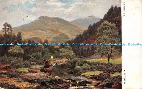 R390581 Abergaslyn E Longstaffe S Hildesheimer No 5171 1904