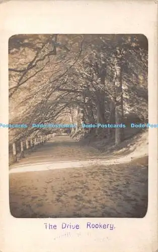 R394810 The Drive Rookery