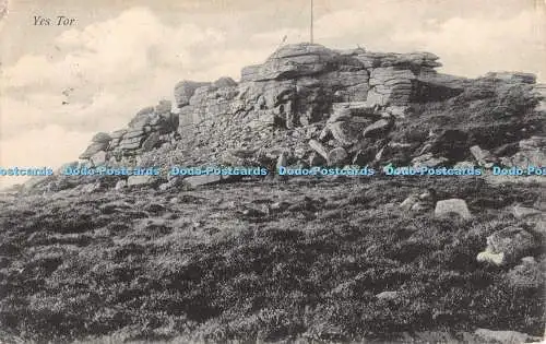 R393020 Ja Tor Chapman 1906