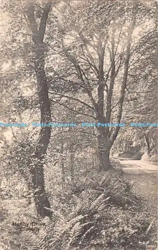 R395337 Clovelly Hobby Drive Valentines Serie 1907