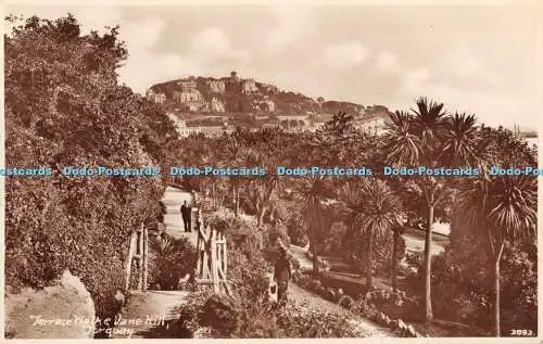 R393321 Terrace Walk and Vane Hill Torquay 3893 F H Gibbs