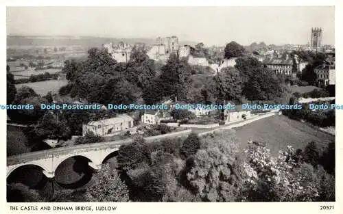 R393405 The Castle and Dinham Bridge Ludlow 20571 Salmon