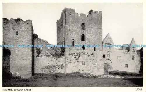 R393416 The Keep Ludlow Castle 20585 Salmon