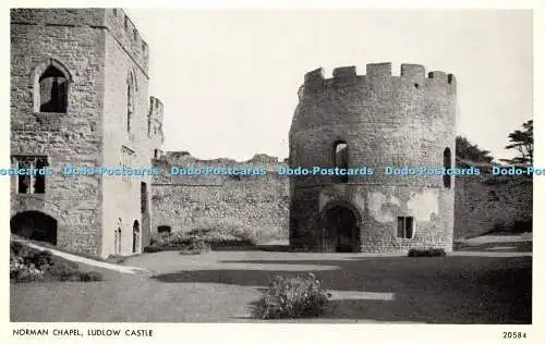 R393417 Norman Chapel Ludlow Castle 20584 Salmon