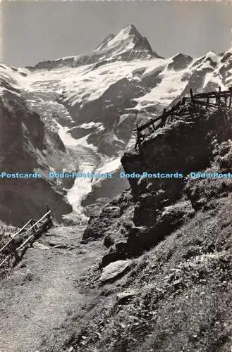 R395871 Gr Schreckhorn und Oberer Grindelwald Gletscher Ernest Schudel Foto Hau