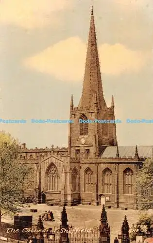 R396135 Sheffield The Cathedral F Frith