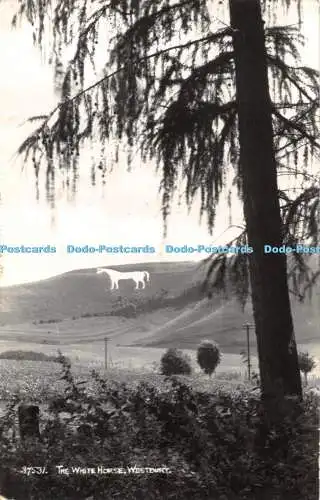 R396534 Westbury Das weiße Pferd Postkarte 1967