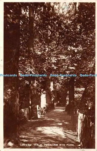 R396649 Peckham Rye Park Lovers Walk RP 1929