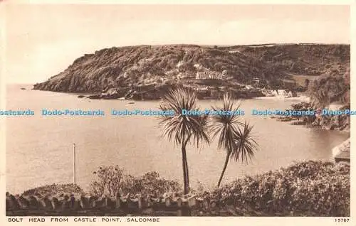 R397821 Schraubenkopf von Castle Point Salcombe 15767 Lachs